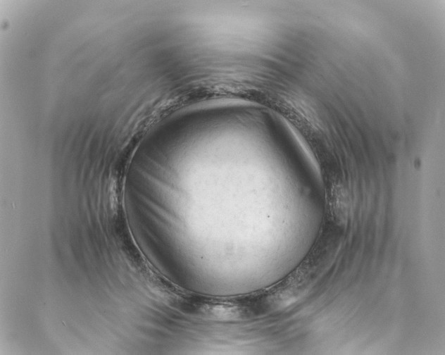 X0000088910506200706291533