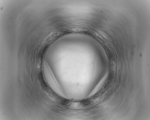 X0000088910507200706291533