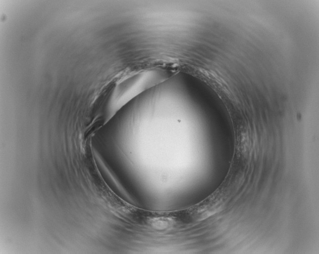 X0000088910508200706291533