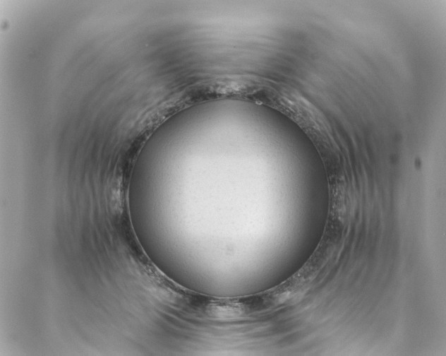 X0000088910510200706291533