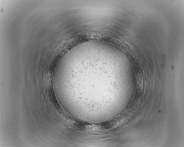 X0000088910511200706291533