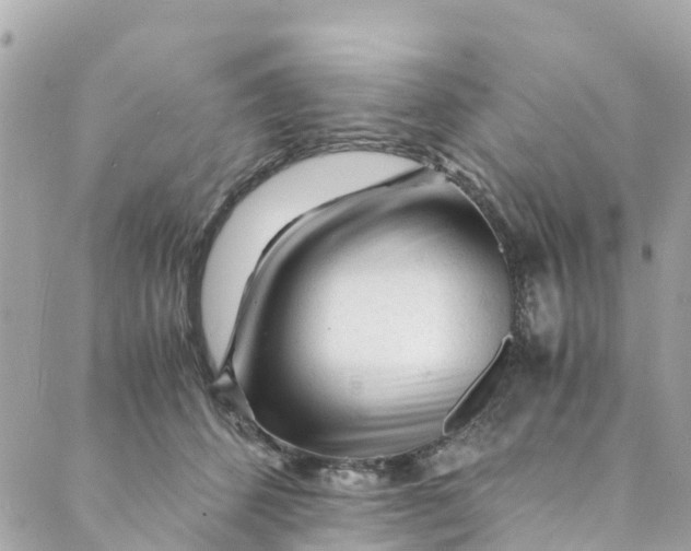 X0000088910512200706291533