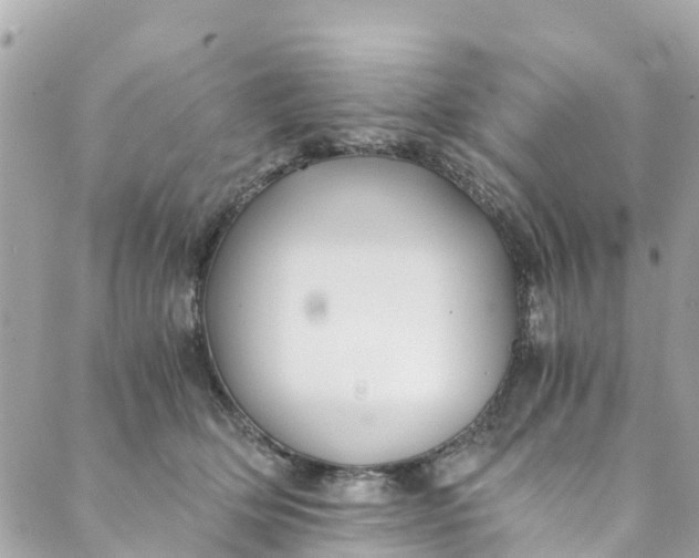 X0000088910514200706291533