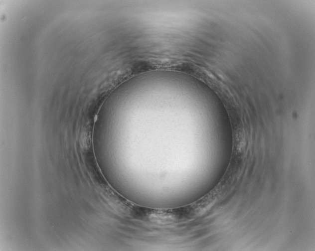 X0000088910515200706291533