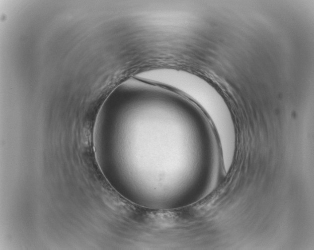 X0000088910517200706291533