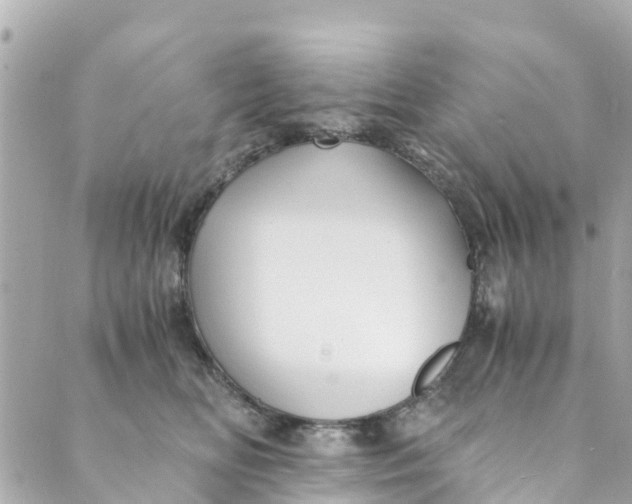 X0000088910518200706291533