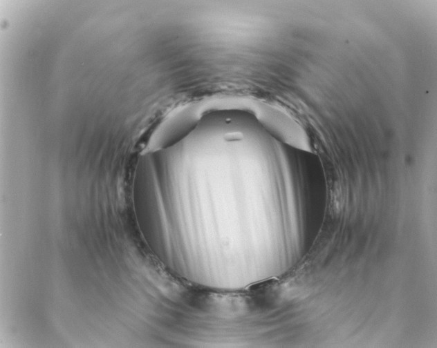 X0000088910520200706291533