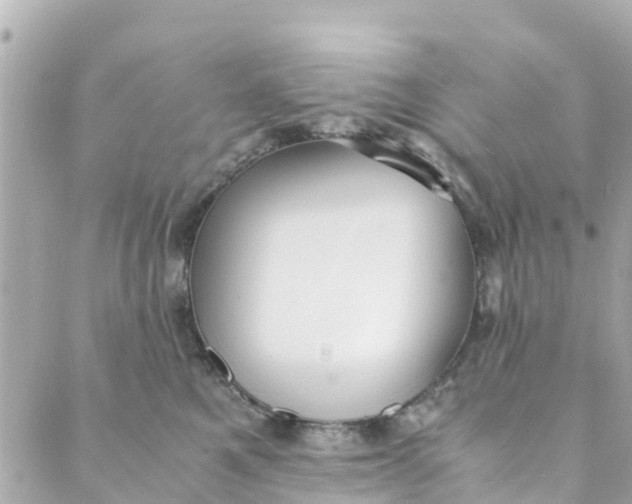 X0000088910521200706291532