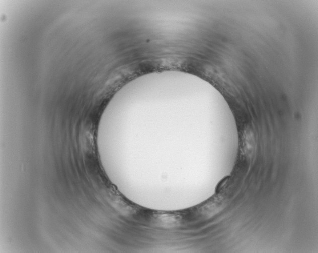 X0000088910522200706291532