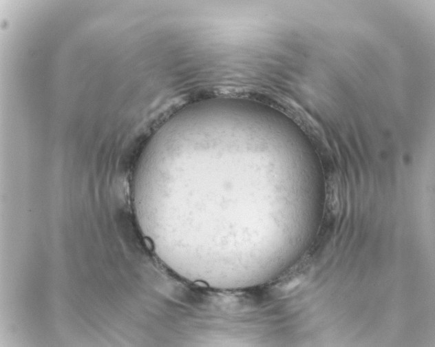 X0000088910523200706291532