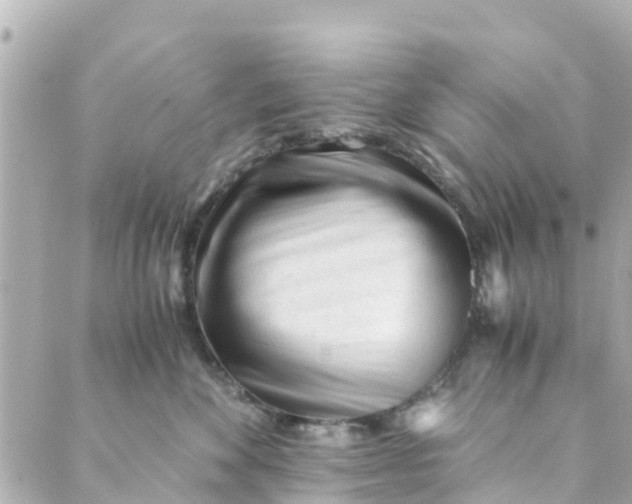 X0000088910524200706291532