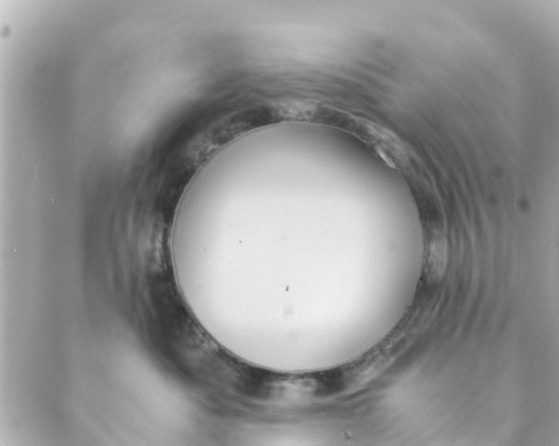 X0000088910525200706291532