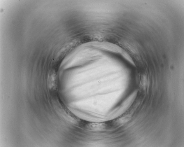 X0000088910526200706291532