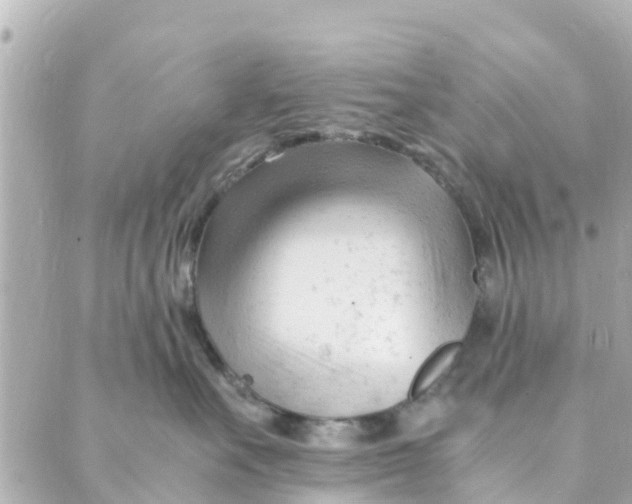 X0000088910527200706291532