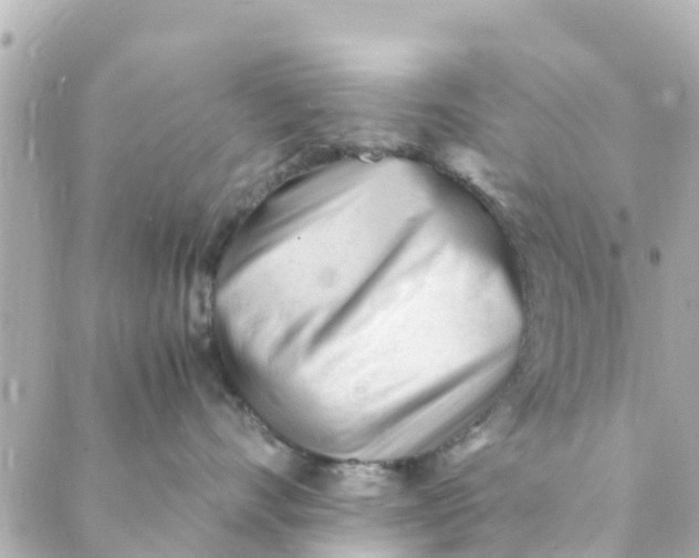 X0000088910528200706291532