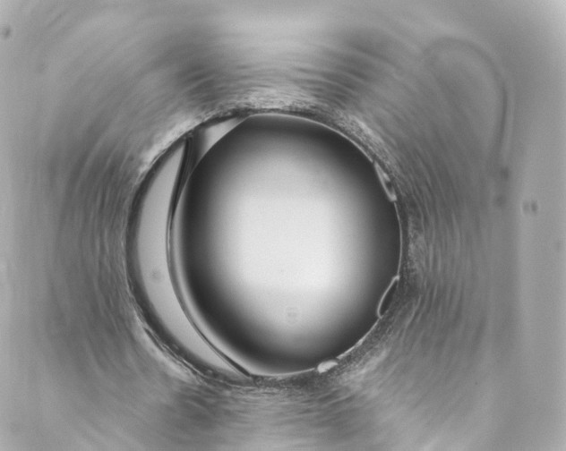 X0000088910530200706291532