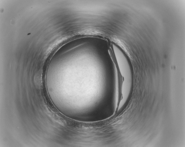 X0000088910531200706291532