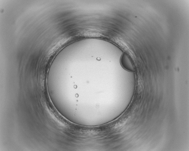 X0000088910533200706291532