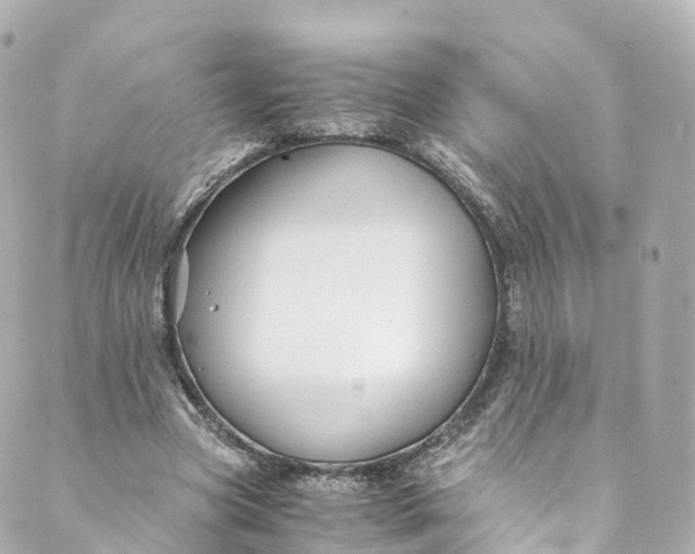 X0000088910537200706291532