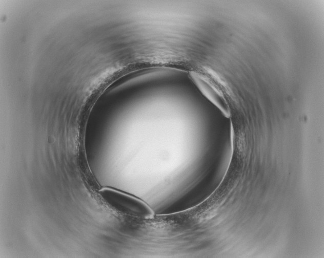 X0000088910540200706291532