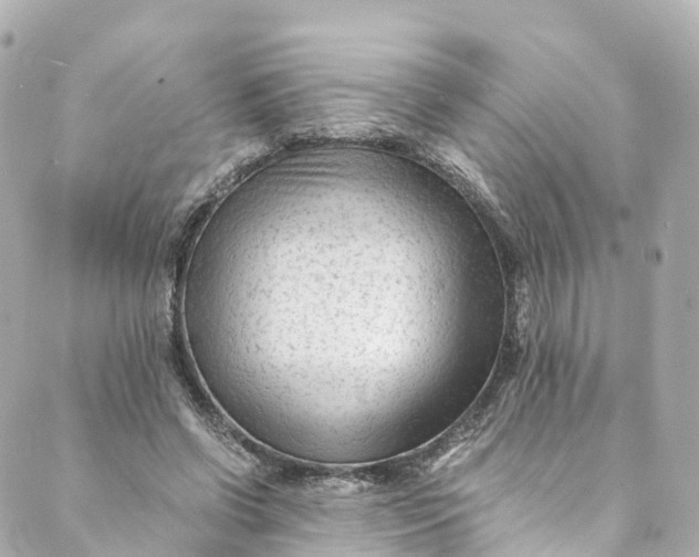 X0000088910542200706291532