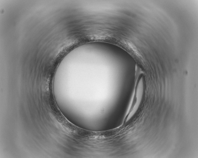 X0000088910543200706291532