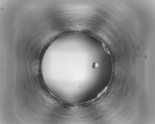 X0000088910544200706291532