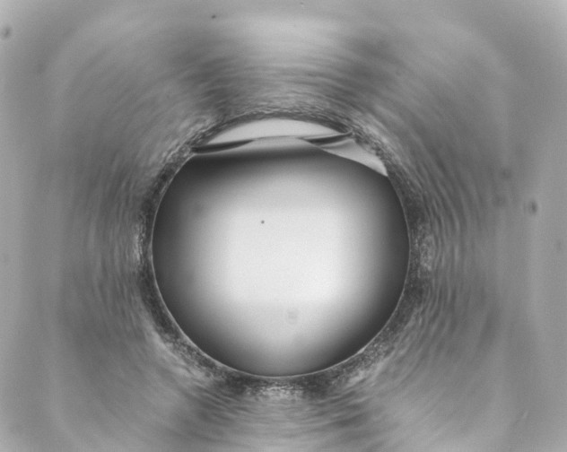 X0000088910546200706291532