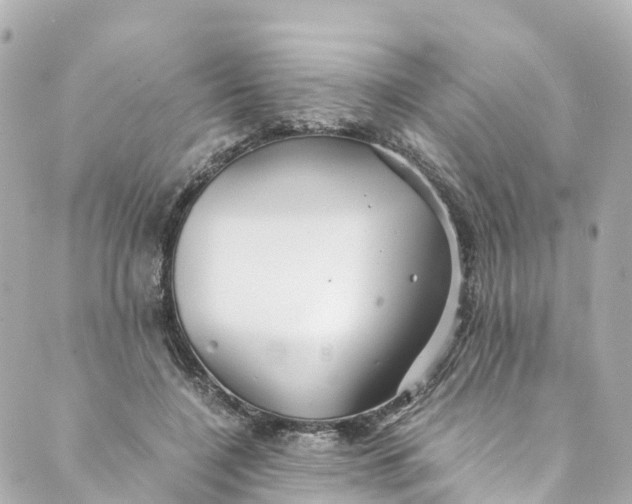 X0000088910548200706291532