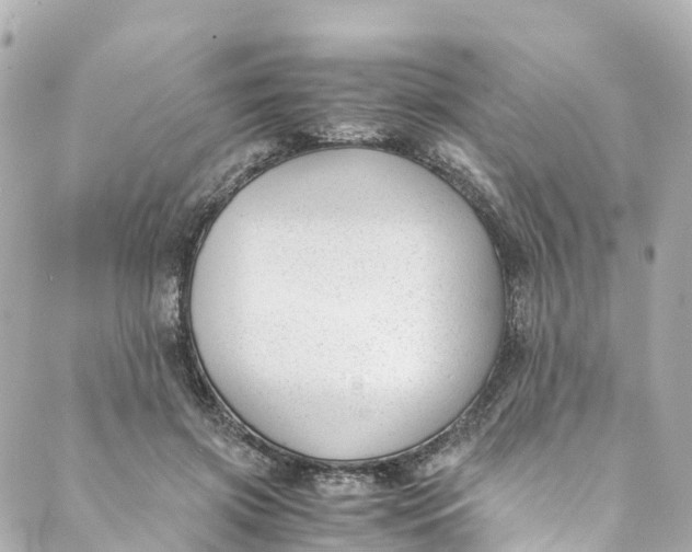 X0000088910549200706291532