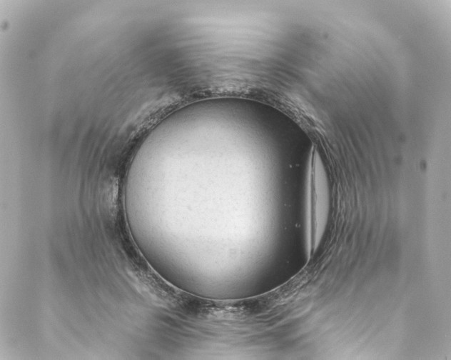 X0000088910550200706291532