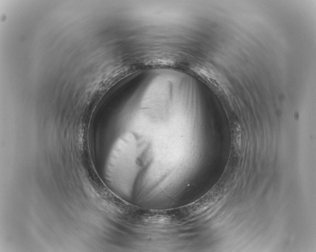 X0000088910551200706291532