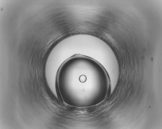 X0000088910552200706291532