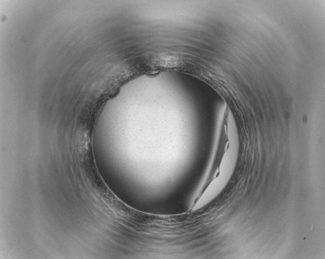 X0000088910555200706291532