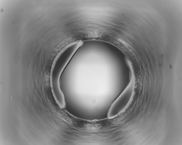 X0000088910556200706291532