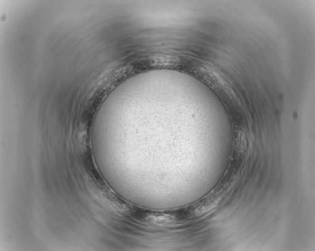 X0000088910557200706291532