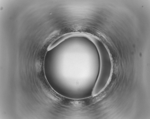 X0000088910558200706291532