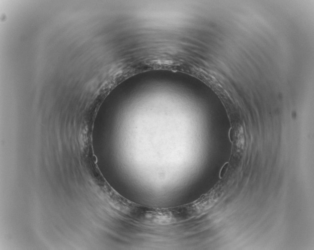 X0000088910559200706291532