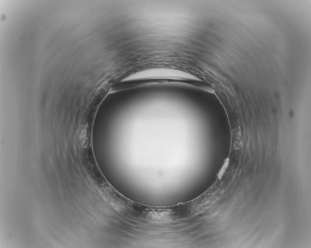 X0000088910560200706291532