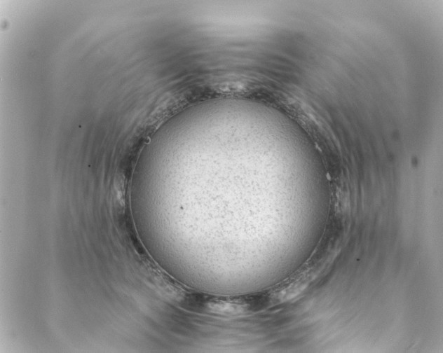 X0000088910561200706291532