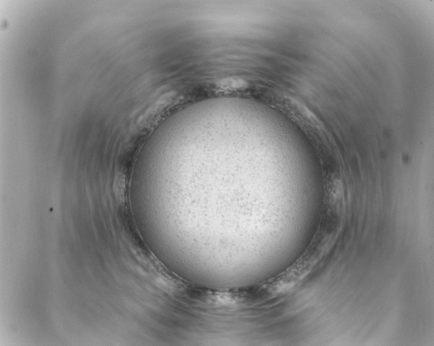 X0000088910565200706291532