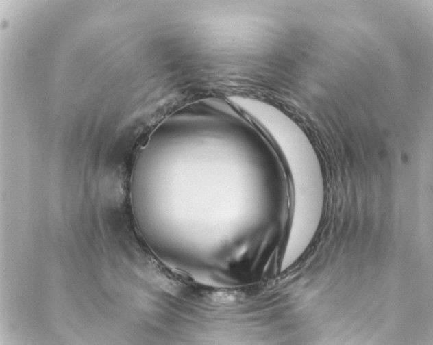 X0000088910566200706291532