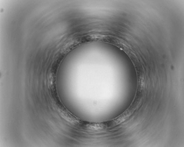 X0000088910567200706291532