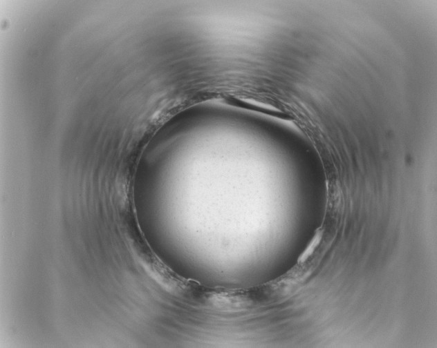 X0000088910568200706291532