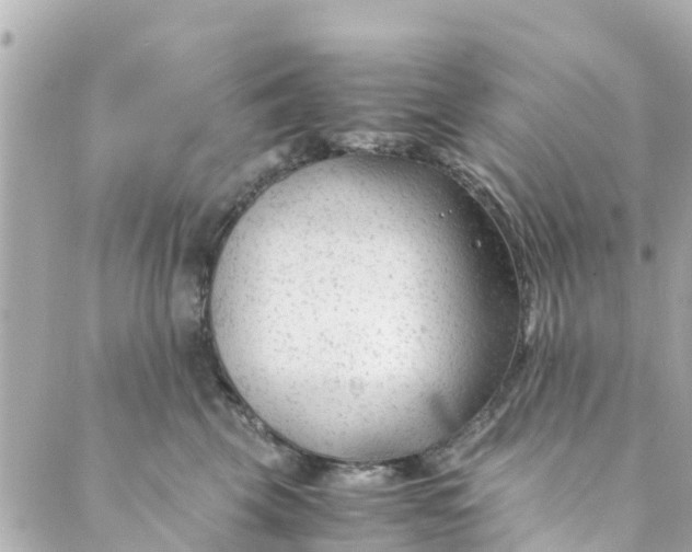 X0000088910569200706291532