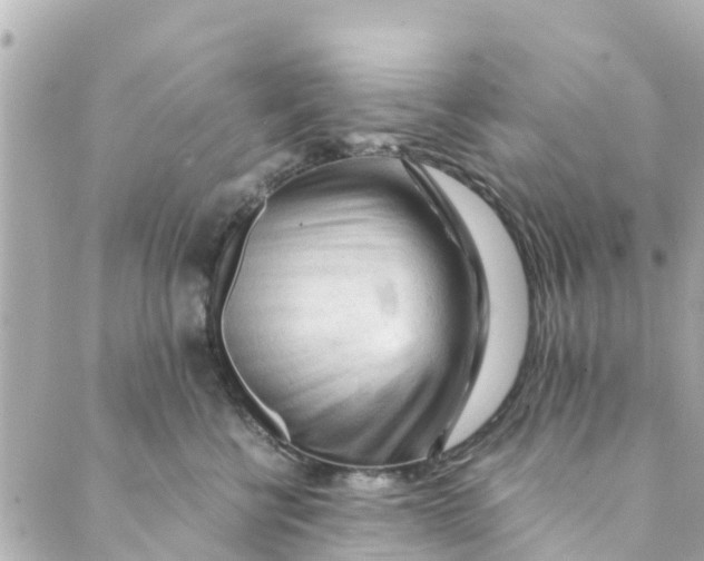 X0000088910570200706291532