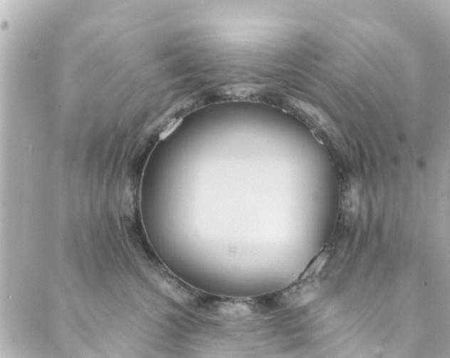 X0000088910572200706291532