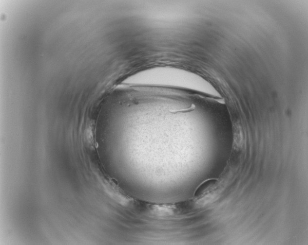 X0000088910573200706291532