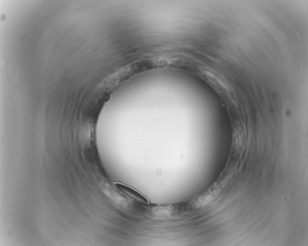 X0000088910574200706291532