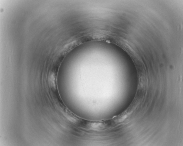 X0000088910575200706291532